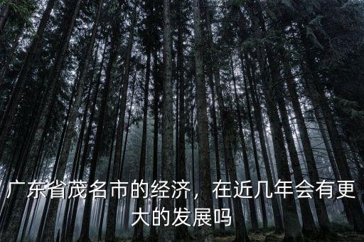 廣東省茂名市的經(jīng)濟，在近幾年會有更大的發(fā)展嗎