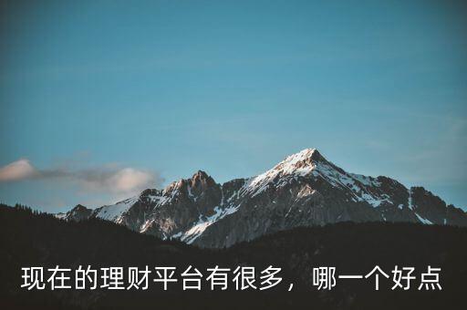 現(xiàn)在的理財(cái)平臺(tái)有很多，哪一個(gè)好點(diǎn)