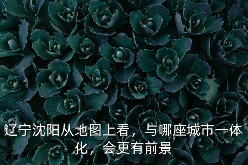 遼寧沈陽從地圖上看，與哪座城市一體化，會更有前景