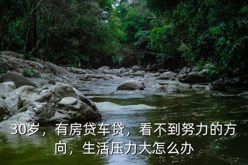 30歲，有房貸車貸，看不到努力的方向，生活壓力大怎么辦