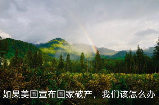 如果美國(guó)宣布國(guó)家破產(chǎn)，我們?cè)撛趺崔k