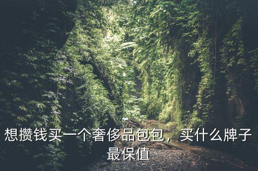 想攢錢買一個(gè)奢侈品包包，買什么牌子最保值