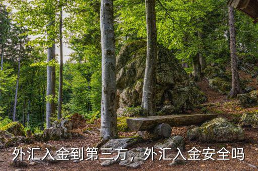外匯入金到第三方，外匯入金安全嗎