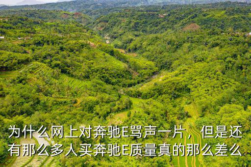 為什么網(wǎng)上對奔馳E罵聲一片，但是還有那么多人買奔馳E質(zhì)量真的那么差么