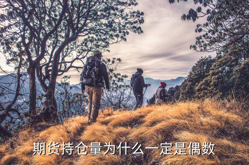 期貨持倉量怎么看,期貨持倉量為什么一定是偶數