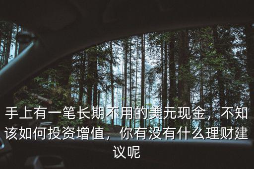 手上有一筆長期不用的美元現(xiàn)金，不知該如何投資增值，你有沒有什么理財建議呢