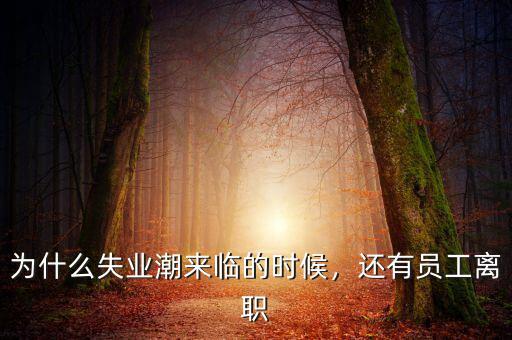 為什么失業(yè)潮來臨的時(shí)候，還有員工離職