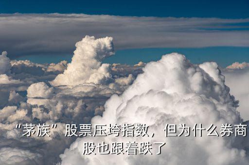 “茅族”股票壓垮指數(shù)，但為什么券商股也跟著跌了