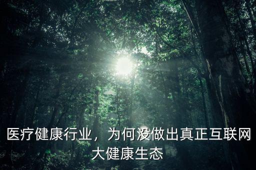 醫(yī)療健康行業(yè)，為何沒做出真正互聯(lián)網(wǎng)大健康生態(tài)