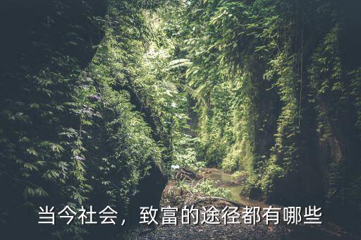 當(dāng)今社會，致富的途徑都有哪些