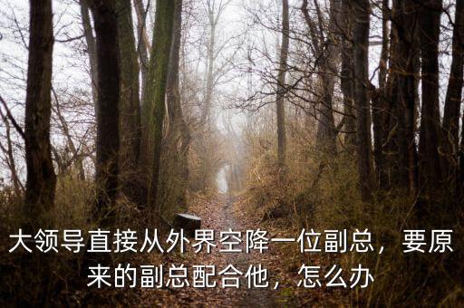 大領(lǐng)導(dǎo)直接從外界空降一位副總，要原來的副總配合他，怎么辦
