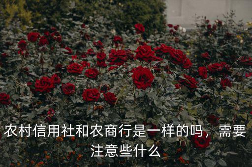 農(nóng)村信用社和農(nóng)商行是一樣的嗎，需要注意些什么