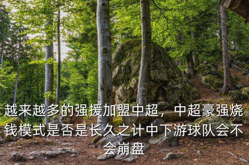 越來越多的強援加盟中超，中超豪強燒錢模式是否是長久之計中下游球隊會不會崩盤