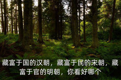 藏富于國的漢朝，藏富于民的宋朝，藏富于官的明朝，你看好哪個