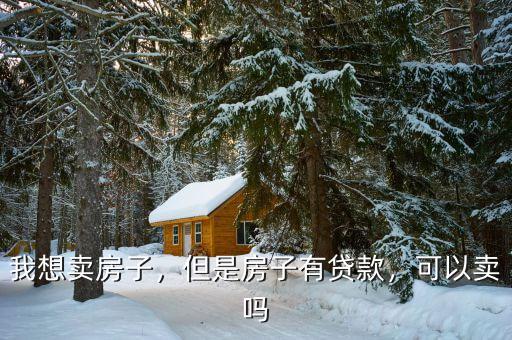 我想賣房子，但是房子有貸款，可以賣嗎