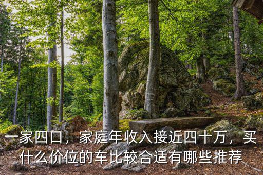 一家四口，家庭年收入接近四十萬，買什么價位的車比較合適有哪些推薦