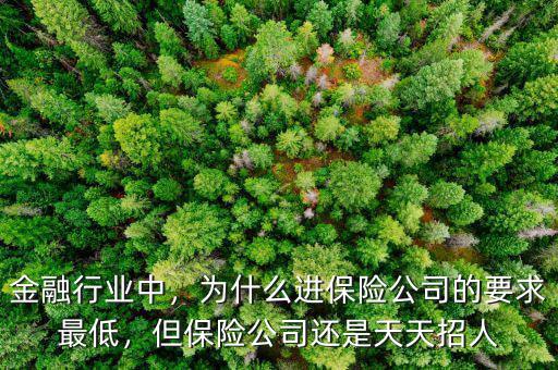 金融行業(yè)中，為什么進(jìn)保險(xiǎn)公司的要求最低，但保險(xiǎn)公司還是天天招人