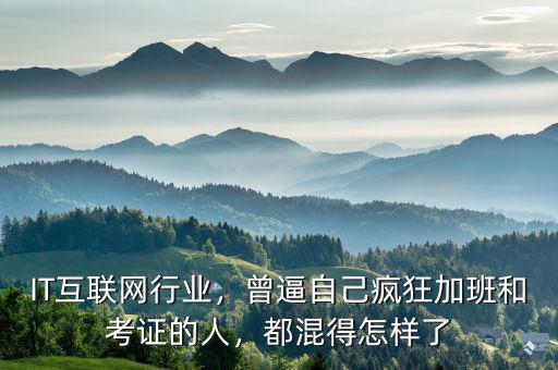 IT互聯(lián)網(wǎng)行業(yè)，曾逼自己瘋狂加班和考證的人，都混得怎樣了