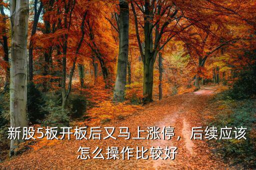 新股5板開板后又馬上漲停，后續(xù)應該怎么操作比較好