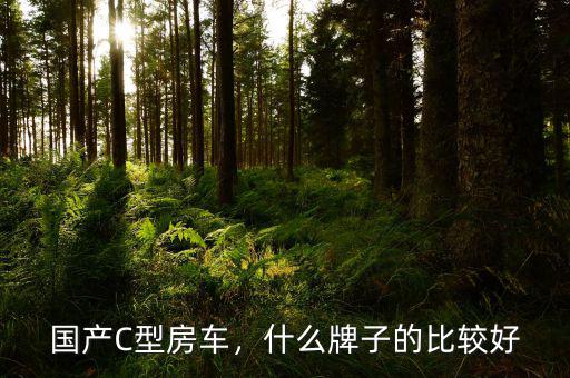 國(guó)產(chǎn)C型房車，什么牌子的比較好
