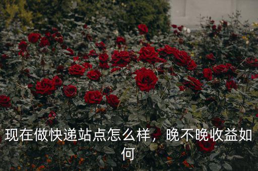 現(xiàn)在做快遞站點(diǎn)怎么樣，晚不晚收益如何