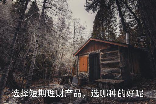 選擇短期理財產(chǎn)品，選哪種的好呢