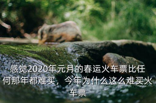 感覺(jué)2020年元月的春運(yùn)火車(chē)票比任何那年都難買(mǎi)，今年為什么這么難買(mǎi)火車(chē)票