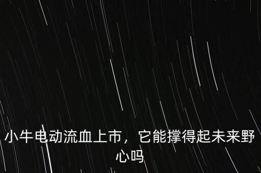 小牛電動流血上市，它能撐得起未來野心嗎
