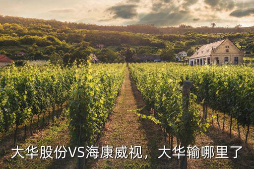 ?？低曉趺闯钟泄煞?寧德時(shí)代和海康威視