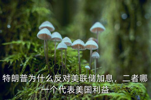 特朗普為什么反對美聯(lián)儲加息，二者哪一個代表美國利益