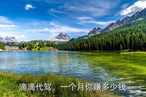 滴滴代駕，一個月你賺多少錢