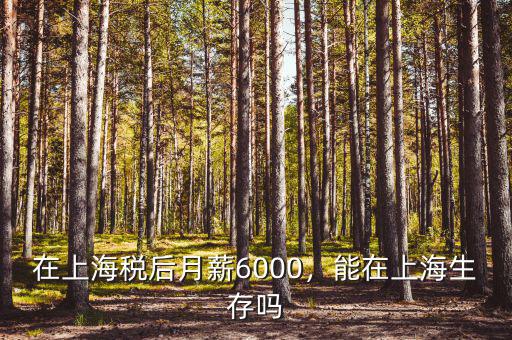 在上海稅后月薪6000，能在上海生存嗎