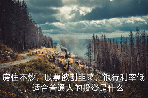 房住不炒，股票被割韭菜，銀行利率低，適合普通人的投資是什么