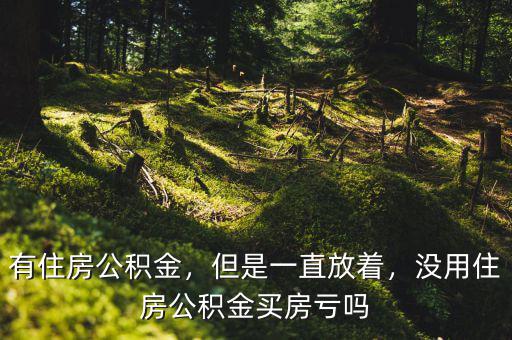 有住房公積金，但是一直放著，沒用住房公積金買房虧嗎