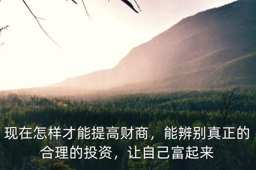 現(xiàn)在怎樣才能提高財(cái)商，能辨別真正的合理的投資，讓自己富起來(lái)