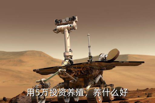 用5萬投資養(yǎng)殖，養(yǎng)什么好