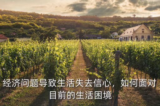經(jīng)濟問題導(dǎo)致生活失去信心，如何面對目前的生活困境