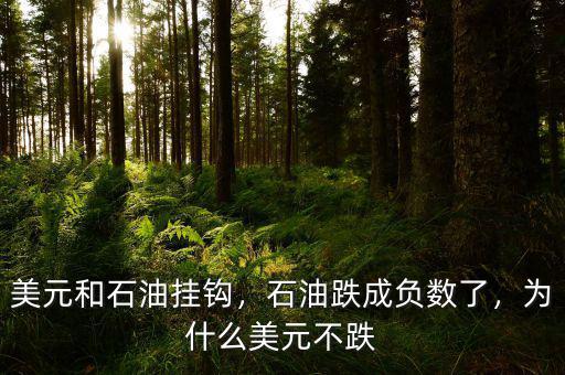 美元和石油掛鉤，石油跌成負(fù)數(shù)了，為什么美元不跌