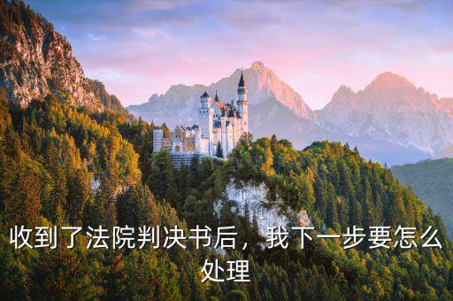 收到了法院判決書后，我下一步要怎么處理