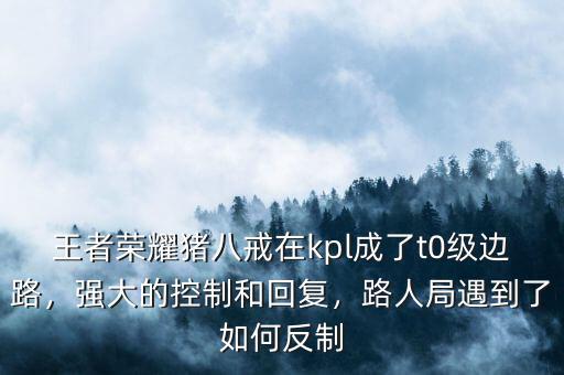 王者榮耀豬八戒在kpl成了t0級(jí)邊路，強(qiáng)大的控制和回復(fù)，路人局遇到了如何反制