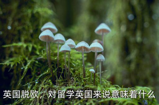 英國(guó)脫歐，對(duì)留學(xué)英國(guó)來(lái)說(shuō)意味著什么
