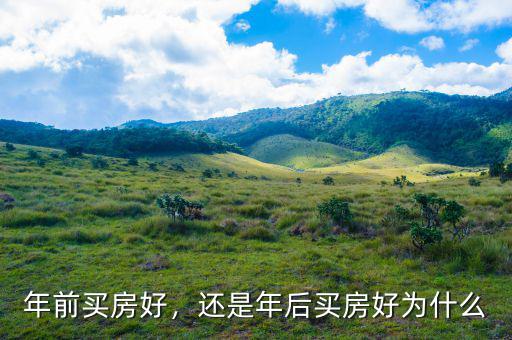 樓市崩盤(pán)前買(mǎi)房好還是怎么投資好,還是年后買(mǎi)房好。為什么