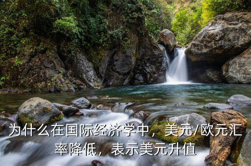 為什么在國(guó)際經(jīng)濟(jì)學(xué)中，美元/歐元匯率降低，表示美元升值