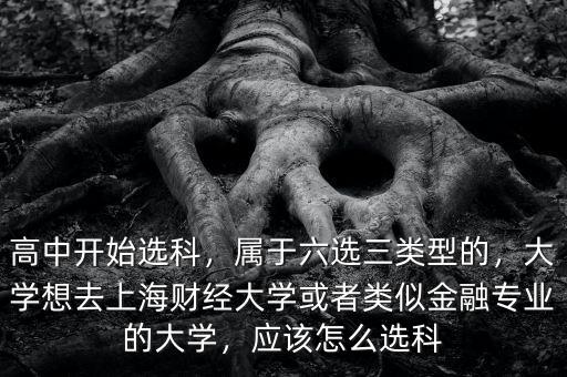 高中開始選科，屬于六選三類型的，大學想去上海財經(jīng)大學或者類似金融專業(yè)的大學，應該怎么選科