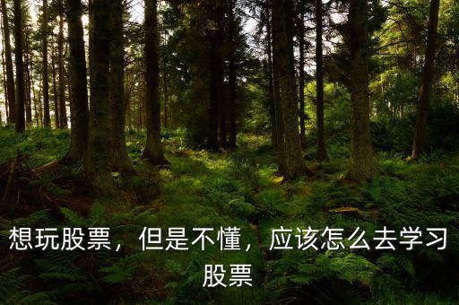 想玩股票，但是不懂，應該怎么去學習股票