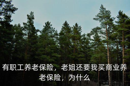 有職工養(yǎng)老保險(xiǎn)，老姐還要我買(mǎi)商業(yè)養(yǎng)老保險(xiǎn)，為什么