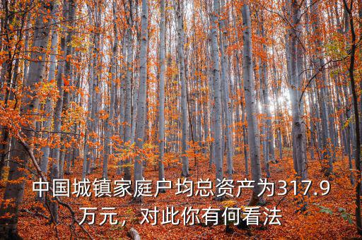 中國城鎮(zhèn)家庭戶均總資產(chǎn)為317.9萬元，對(duì)此你有何看法