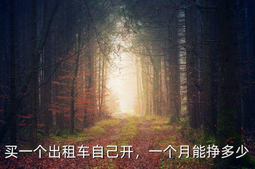 買(mǎi)一個(gè)出租車自己開(kāi)，一個(gè)月能掙多少