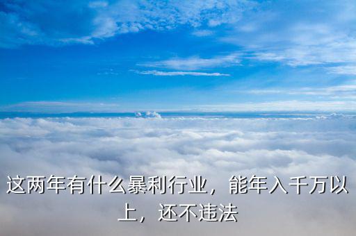 這兩年有什么暴利行業(yè)，能年入千萬以上，還不違法