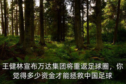 王健林宣布萬達(dá)集團(tuán)將重返足球圈，你覺得多少資金才能拯救中國足球